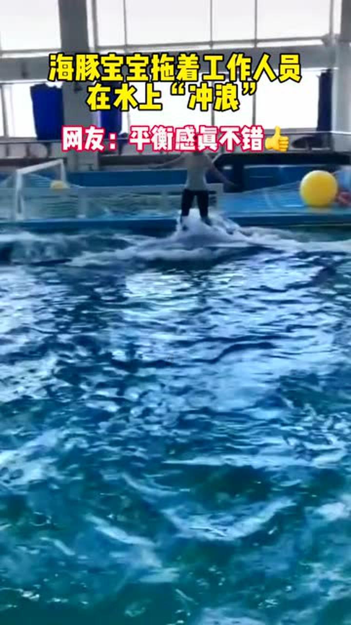 植物大战僵尸10